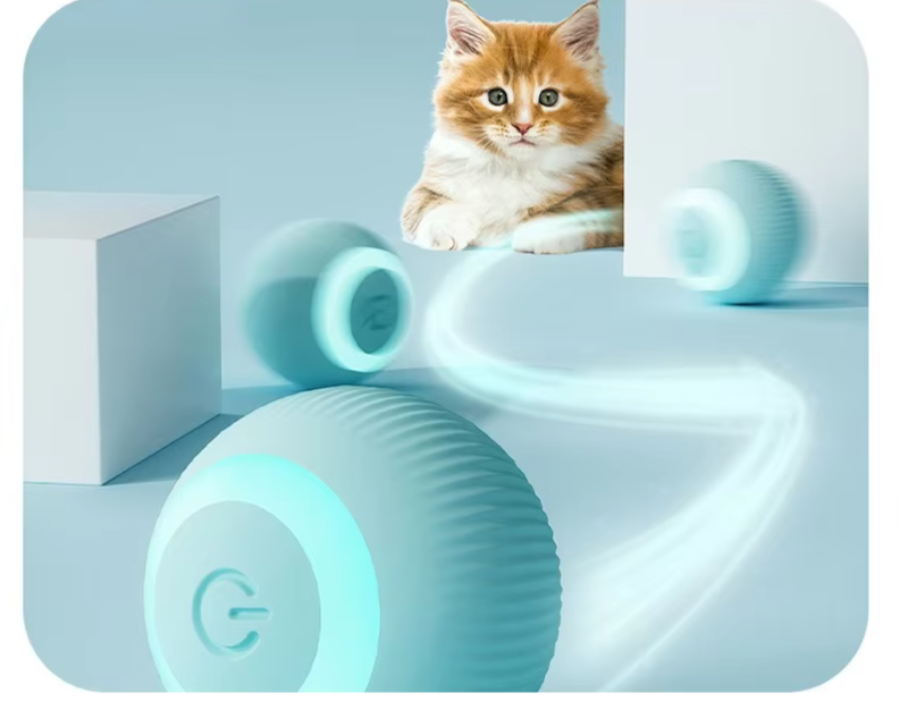 Plani CatRoll