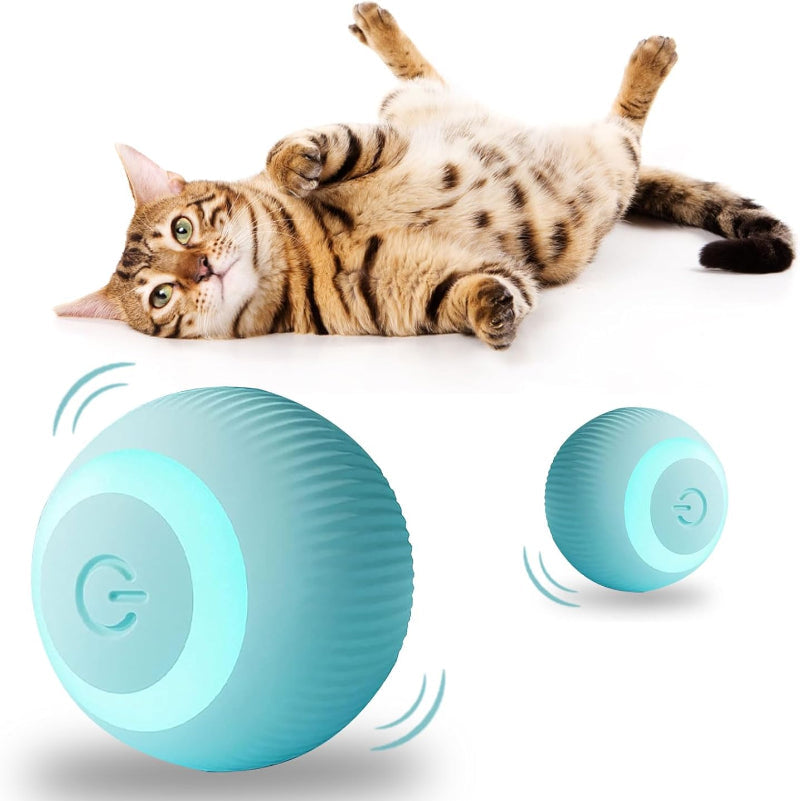 Plani CatRoll
