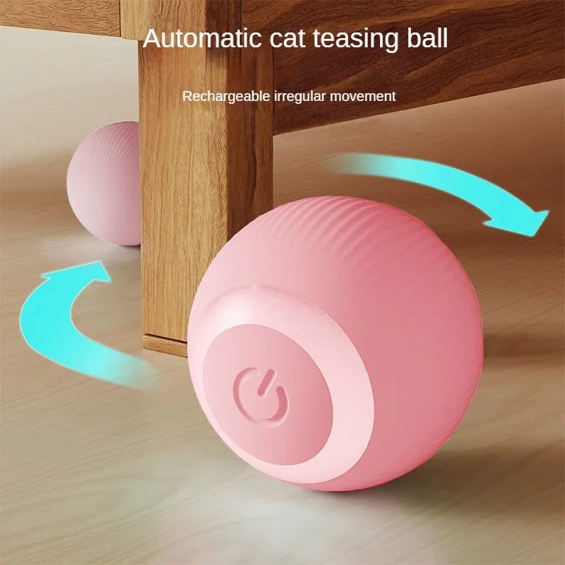 Plani CatRoll